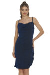 L10366-PLATA-1