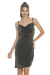 L10366-PLATA-1