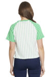 L13947-VERDE-1
